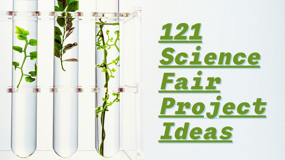 science fair project ideas